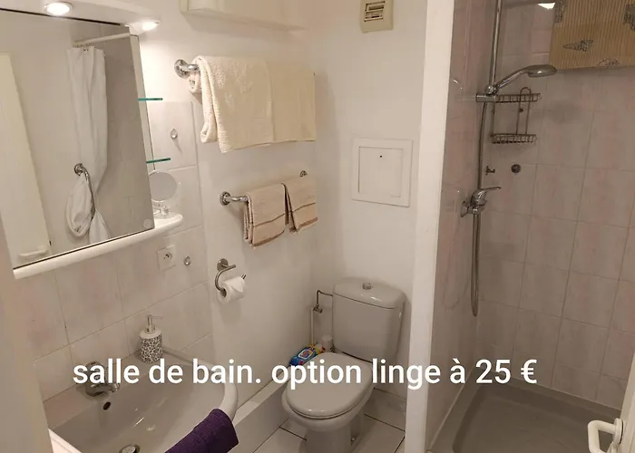 Apartment Locations Vacances Obernai