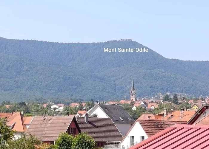 Locations Vacances Apartment